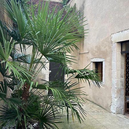 Cosy appartement Hyper centre ville avec cour + Patio Auxerre Extérieur photo